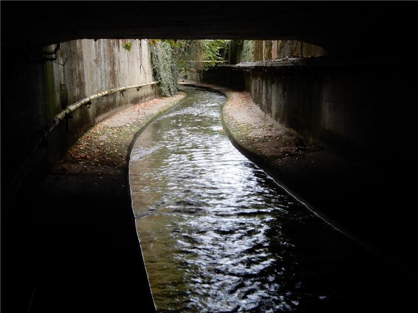 Die Alzette ist nicht mehr die gleiche Kloake wie früher 