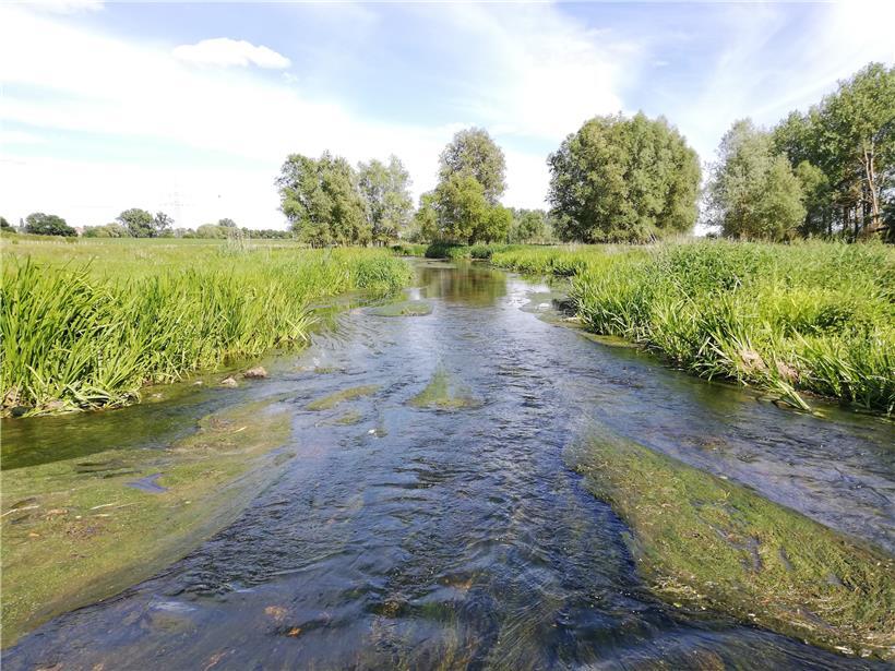 Die Alzette ist nicht mehr die gleiche Kloake wie früher 