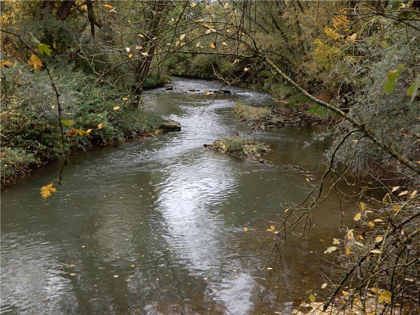Die Alzette ist nicht mehr die gleiche Kloake wie früher 