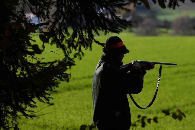 „Hobbyjäger sind Tiermörder“ – Freispruch für Jagdgegner Clesse 