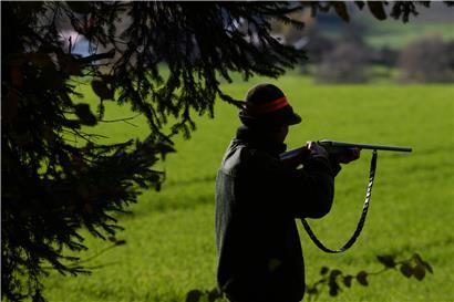 „Hobbyjäger sind Tiermörder“ – Freispruch für Jagdgegner Clesse