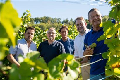 Esch und Schengen machen Pinot Blanc