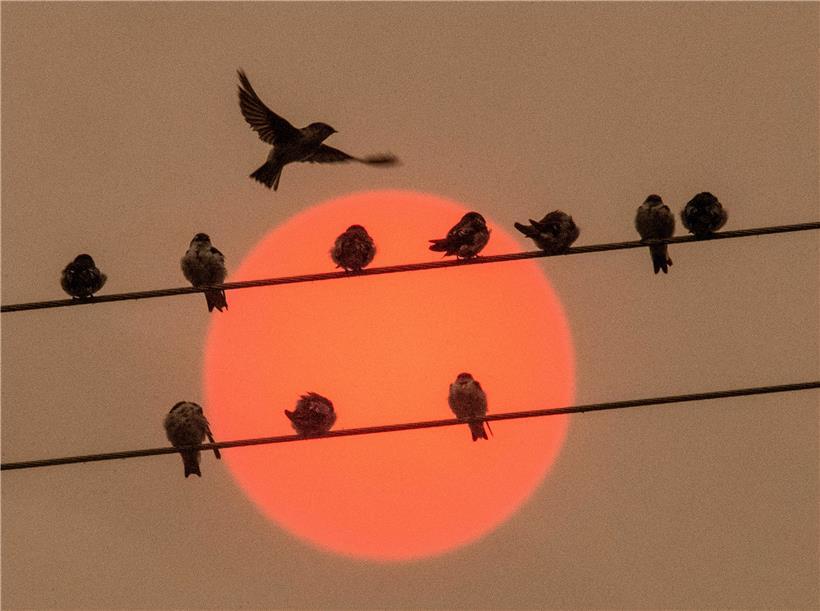 Die Regierung muss ihren hohen umweltpolitischen Ansprüchen gerecht werden 