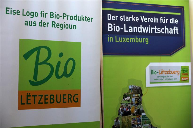 Haushalte geben durchschnittlich 12 Prozent der Nahrungsmittelkosten für Bioprodukte aus 