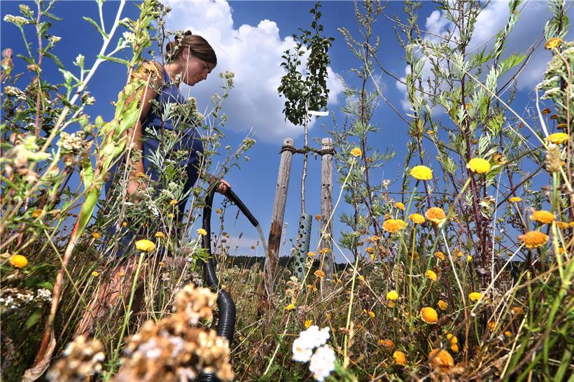 Corona darf nicht von Umweltproblemen ablenken 