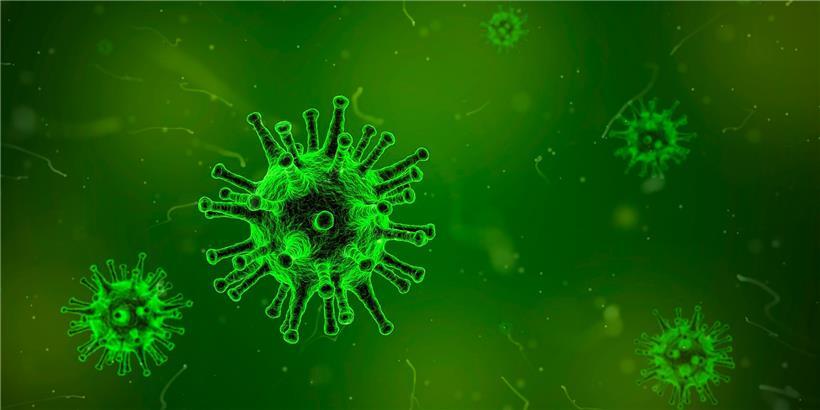 Luxemburg meldet am Sonntag 36 Neuinfektionen 