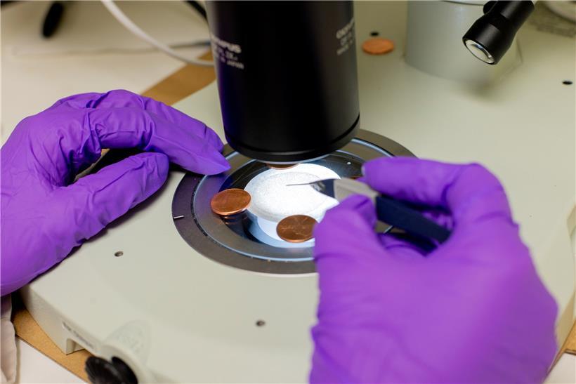 Wissenschaftler: Mehr als zwei Millionen Corona-Infizierte in USA 