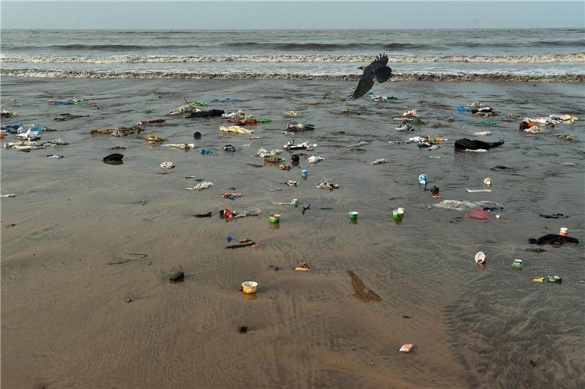 Die Verschmutzung der Meere durch Plastik 