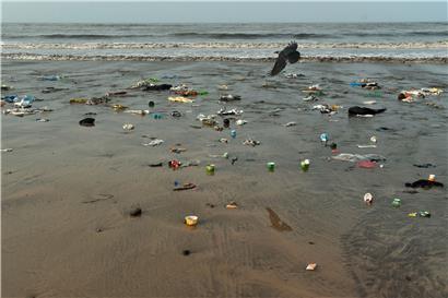 Die Verschmutzung der Meere durch Plastik