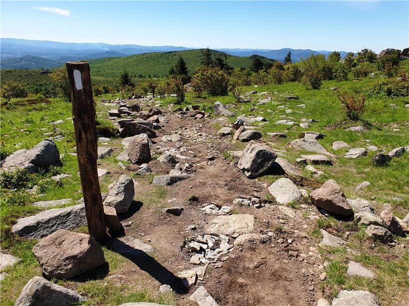Ein Virus auf dem längsten Wanderpfad der Welt 