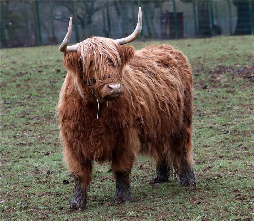 Auch im Winter ein besonderes Erlebnis 