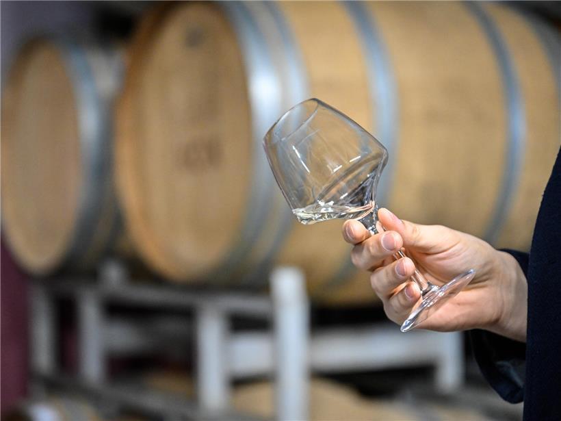 Letzte Qualitätskontrolle: So schmeckt unser Wein – und so können Sie ihn probieren 