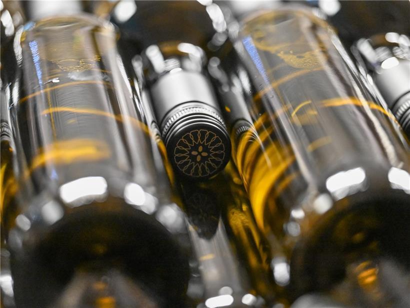 Vom Tank in die Flasche: Unser Rivaner ist abgefüllt und fast bereit, verkostet zu werden 