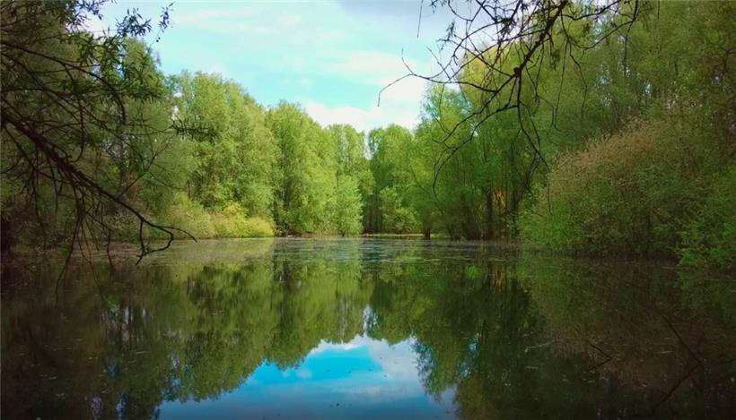 Stréissel: Ein Mosaik der Artenvielfalt an der Alzette 