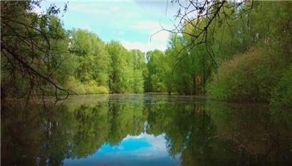 Stréissel: Ein Mosaik der Artenvielfalt an der Alzette