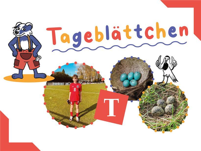 Platzhalter-Grafik mit Text „Grafik muss noch das Aufmacherbild basteln“ in schwarzer Schrift auf weißem Hintergrund