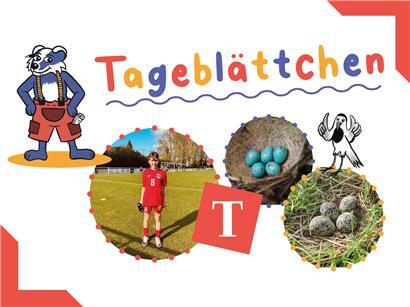 Platzhalter-Grafik mit Text „Grafik muss noch das Aufmacherbild basteln“ in schwarzer Schrift auf weißem Hintergrund