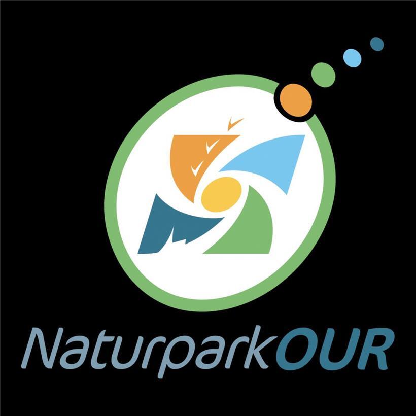 Winzige Helden unserer Natur: Warum Insekten unverzichtbar sind 