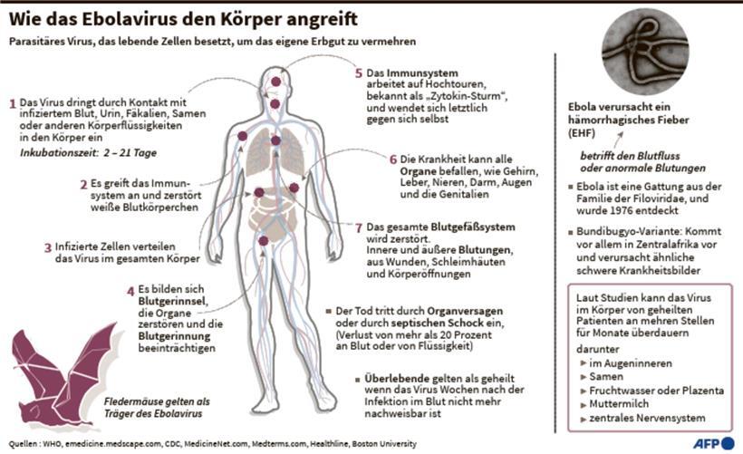 Ebola-Epidemie im Kongo weitet sich aus Ebola-Epidemie im Kongo weitet sich aus