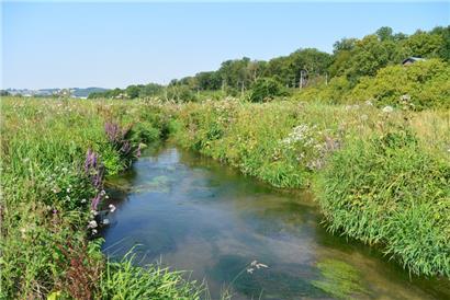 Mensder Brill & Schlammwiss: Das größte Schilfgebiet des Landes