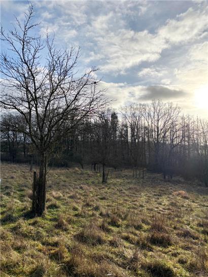 Weimericht & Duelen: Typische Kalkmagerrasen auf nährstoffarmen Keuperhängen