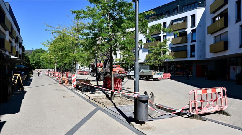 Die Forge du Sud soll grüner werden 