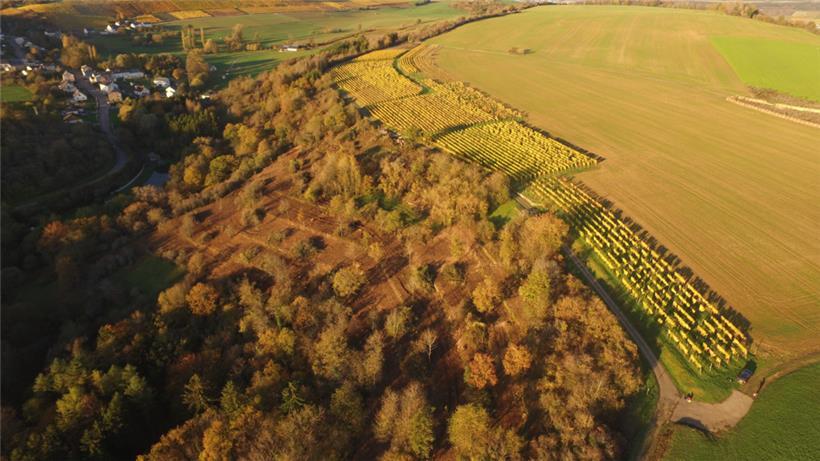 Von alten Winzerterrassen zum Naturparadies – die Wiederentdeckung des Gëllebierg 