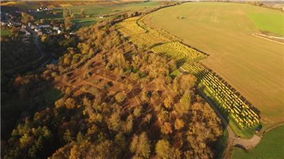 Von alten Winzerterrassen zum Naturparadies – die Wiederentdeckung des Gëllebierg