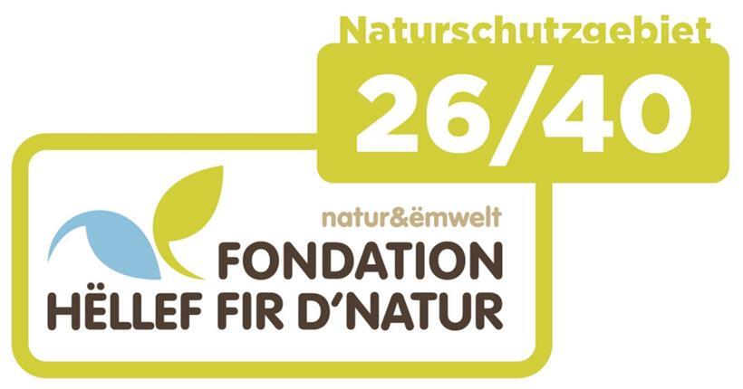 Die Hëlt erleben: Vom Dolomit-Mäander zu seltenen Orchideen 