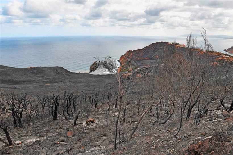 Bild aus dem Nordwesten Tunesiens  
