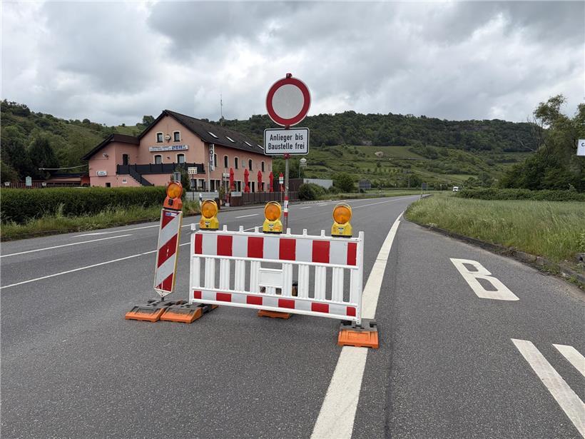 Pendler umfahren großen Igel auf Landstraße zum Schutz der Tiere und Verkehrssicherheit