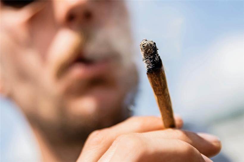 Bis zu 30 Gramm Hanf soll jeder erwachsene Deutsche künftig straffrei bei sich tragen dürfen
