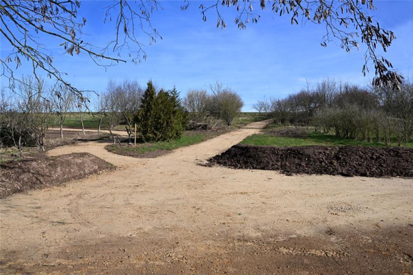 Blick auf das Areal des Baumschul-Arboretums