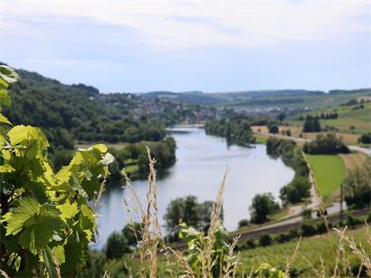 Blick über das Moselland Richtung Wasserbillig