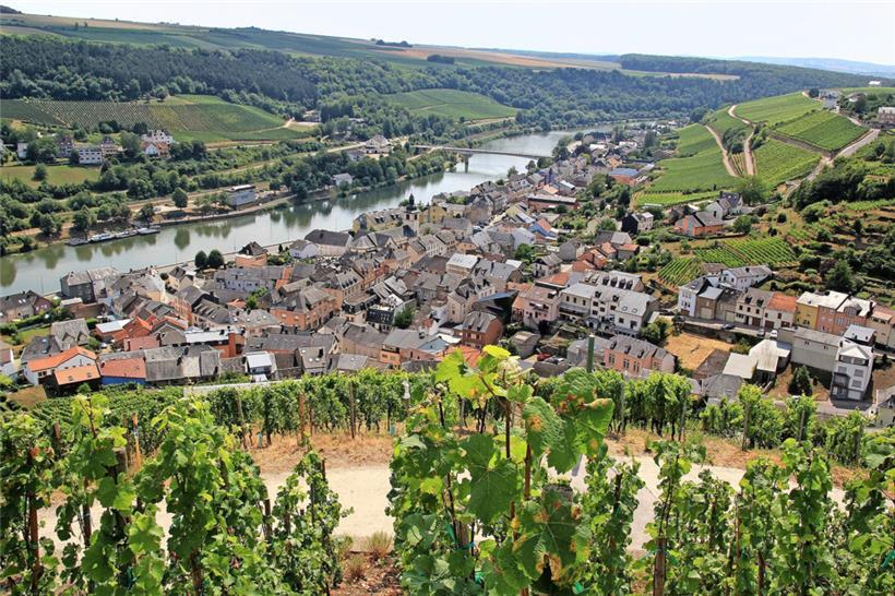 Blick vom Wormer Koeppchen auf die Rieslinggemeinde Wormeldingen