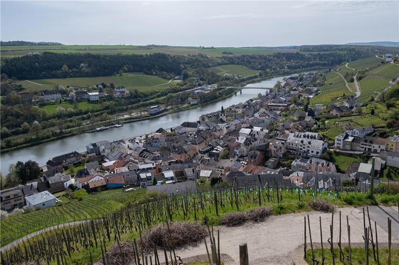 An der Mosel entlang: Eine Entdeckungsreise vor der Haustür Blick von Wormer Koeppchen über grüne Weinberge von Wormeldange an der Mosel bei sonnigem Wetter