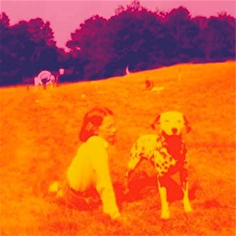 Blinking Lights and Other Revelations
