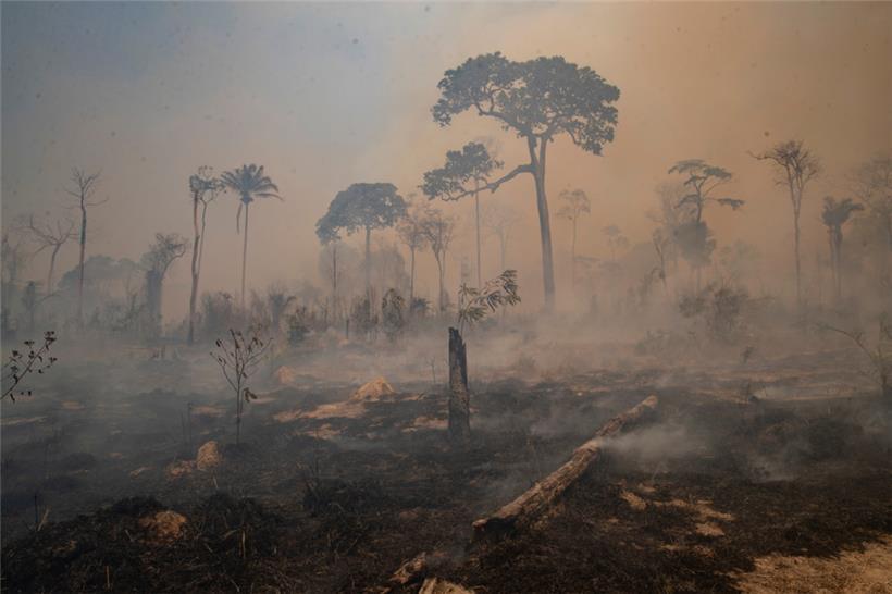Brasilien, Novo Progresso: Rauch steigt während eines Brandes im Amazonas-Gebiet auf 
