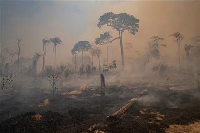 Brasilien, Novo Progresso: Rauch steigt während eines Brandes im Amazonas-Gebiet auf 

