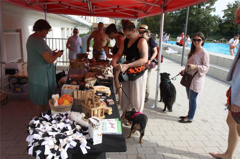 Bücher, Biscuits und Zubehör