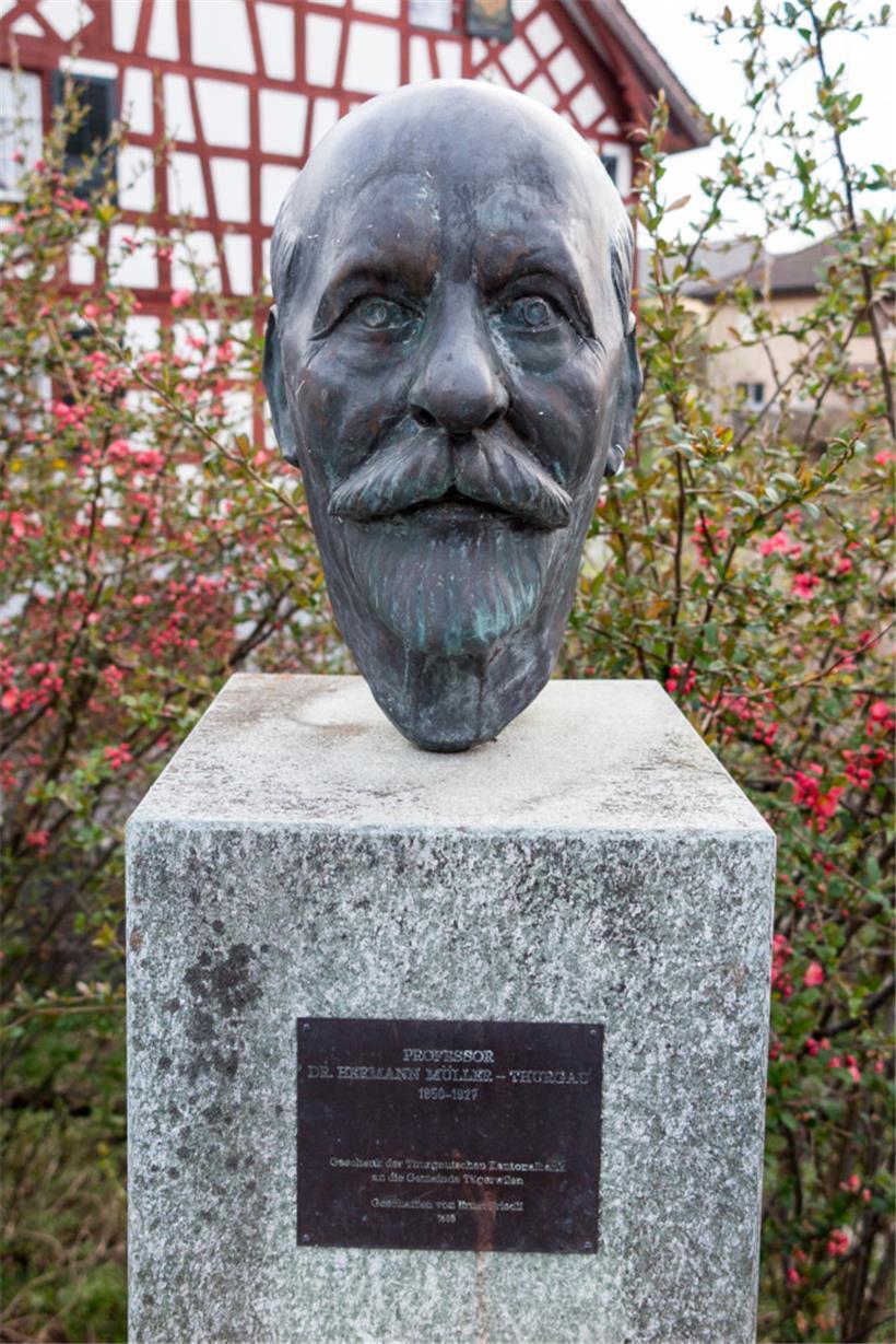 Büste von Hermann Müller-Thurgau vor seinem Geburtshaus im schweizerischen Tägerwilen
