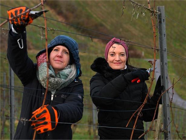 Carole und Jenny beim ersten Einsatz im Wéngert
