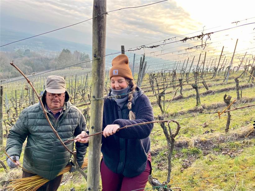 Christelle bindet die Rebe unter dem anspruchsvollen Blick unseres Ausbilders Antonio
