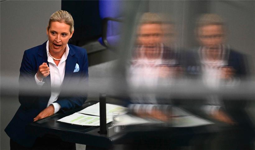 Co-AfD-Chefin Alice Weidel im Bundestag
