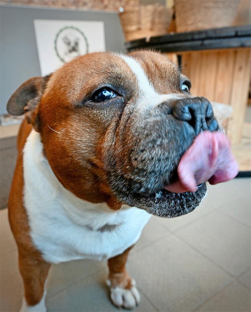 Coffi ist der Namensgeber der Feinkost-Boutique
