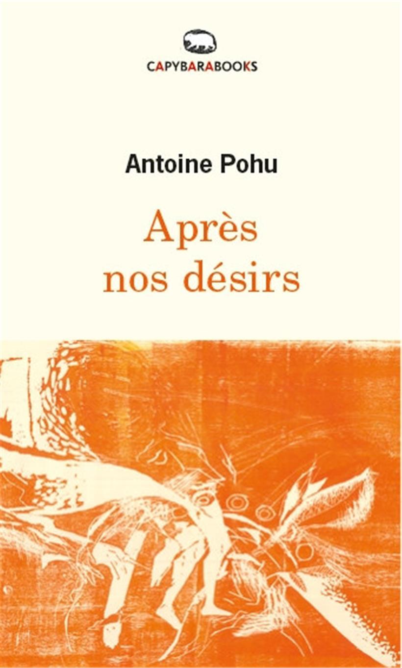 Couverture du livre „Après nos désirs“ d’Antoine Pohu
