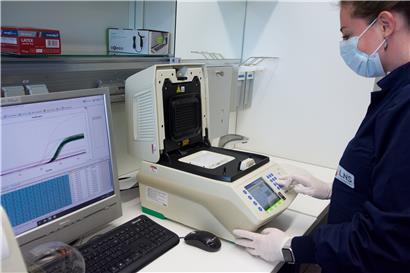 Covid-19-Tests im Laboratoire National de la Santé (Archivfoto)
