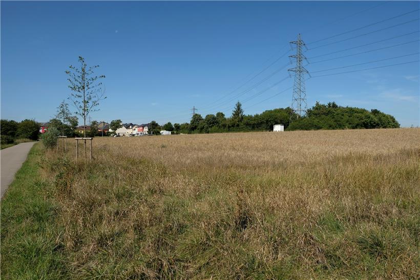 „Crassier“: sieht idyllisch aus, wäre da nicht das Wissen um das, was im Boden gelagert ist
