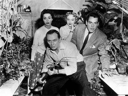 Dana Wynter, King Donovan, Carolyn Jones, Kevin McCarthy (v.l.) in „Invasion of the Body Snatchers“