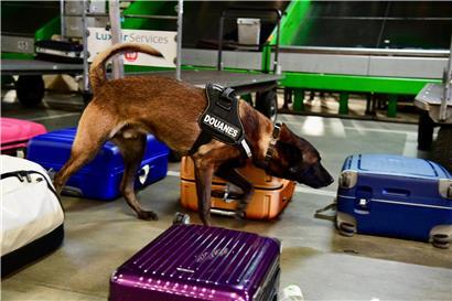 Dank tierischer Hilfe konnten die Zollbeamten einen Erfolg gegen den Drogenhandel verbuchen
